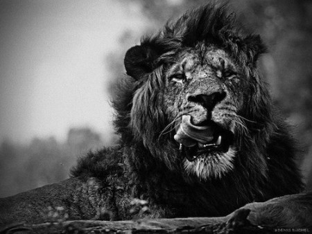 Intermittent fasting (Prerušované pôstenie) - skúsenosť